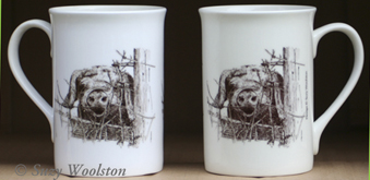 Gloucester Old Spot Pig